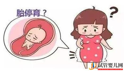 如何預防試管嬰兒移植成功后出現胎停的現象(圖1)