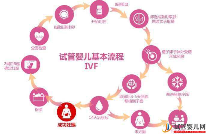 人工授精和試管嬰兒的區(qū)別(圖2) 人工授精和試管嬰兒的區(qū)別(圖2)