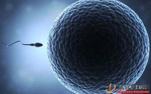 男性少精弱精是先治療還是直接做試管嬰兒(圖3) 男性少精弱精是先治療還是直接做試管嬰兒(圖2)