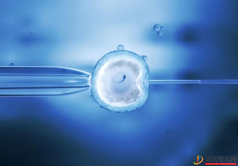 女性做“試管嬰兒”到底有多痛苦？而男性只需做一件事，太扎心了(圖1)