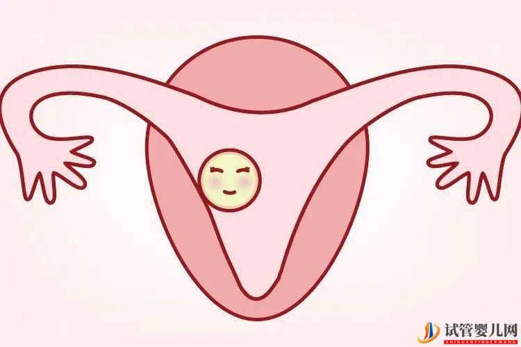 卵巢早衰能做泰國第三代試管嬰兒嗎(圖1)