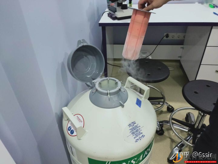 我的格魯吉亞試管嬰兒經(jīng)歷9---接娃路(下)(圖10) 我的格魯吉亞試管嬰兒經(jīng)歷9---接娃路(下)(圖5)