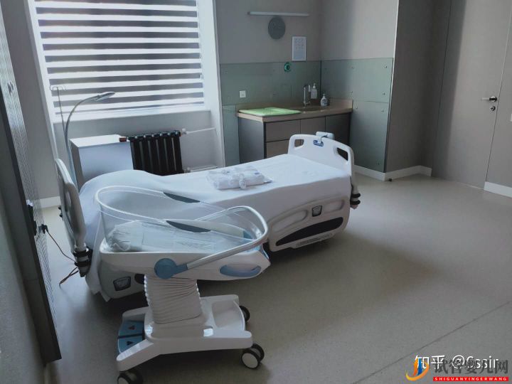 我的格魯吉亞試管嬰兒經(jīng)歷9---接娃路(下)(圖8) 我的格魯吉亞試管嬰兒經(jīng)歷9---接娃路(下)(圖4)