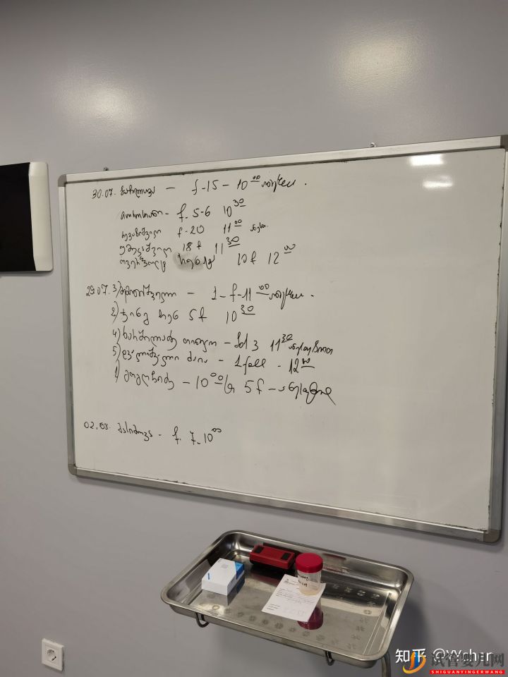 格魯吉亞的試管成功率(圖1)