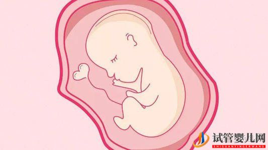 格魯吉亞試管嬰兒的8大誤區,你有過同樣的擔心嗎(圖3) 格魯吉亞試管嬰兒的8大誤區,你有過同樣的擔心嗎(圖2)