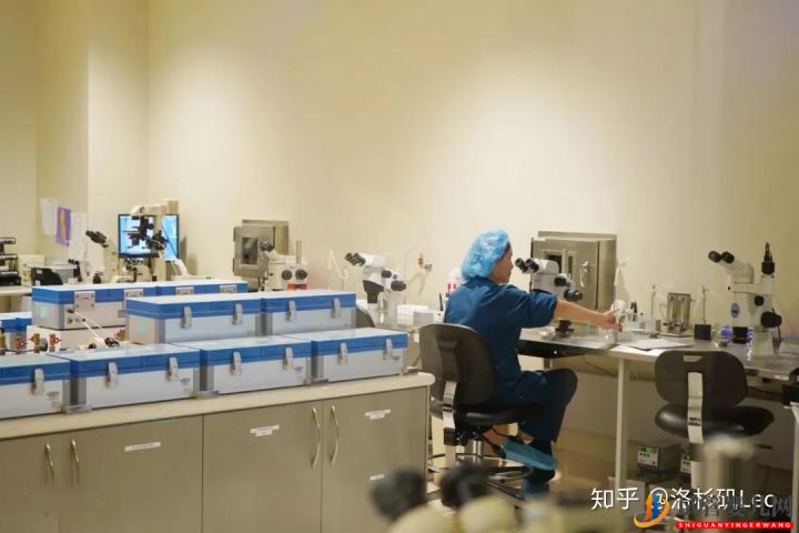 為什么選擇美國試管嬰兒_美國試管嬰兒到底有哪些優(yōu)勢(圖6) 為什么選擇美國試管嬰兒_美國試管嬰兒到底有哪些優(yōu)勢(圖3)