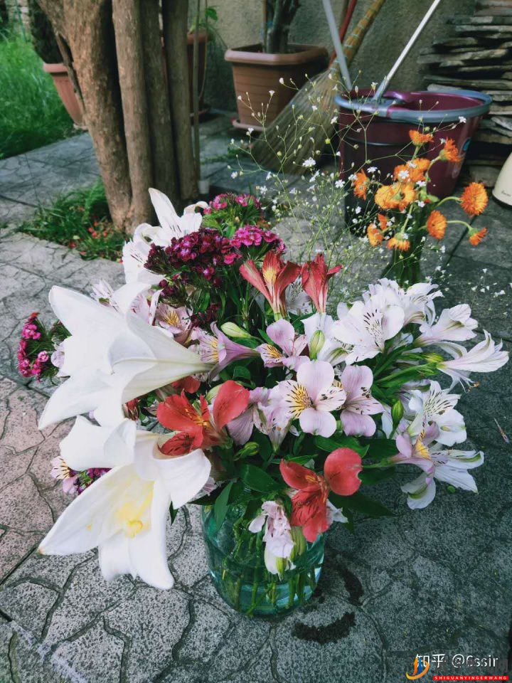 格魯吉亞試管嬰兒經(jīng)歷1~準(zhǔn)備期(圖11) 格魯吉亞試管嬰兒經(jīng)歷1~準(zhǔn)備期(圖6)