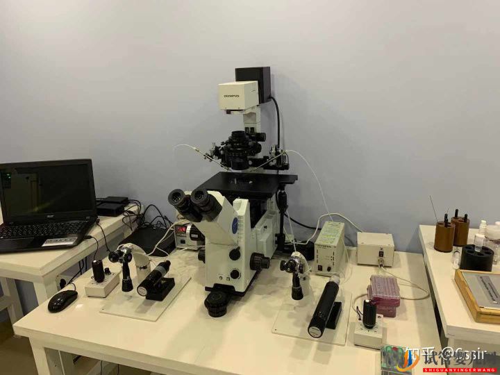 格魯吉亞試管嬰兒經歷3-決定前往(圖1)