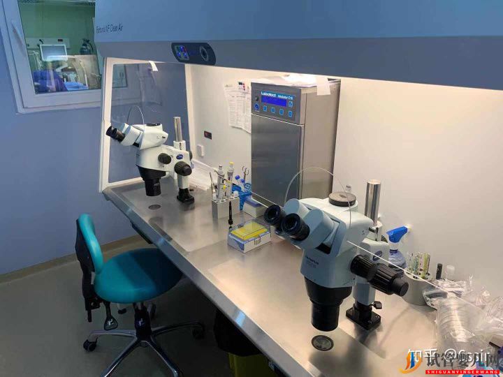 格魯吉亞試管嬰兒經歷3-決定前往(圖2)