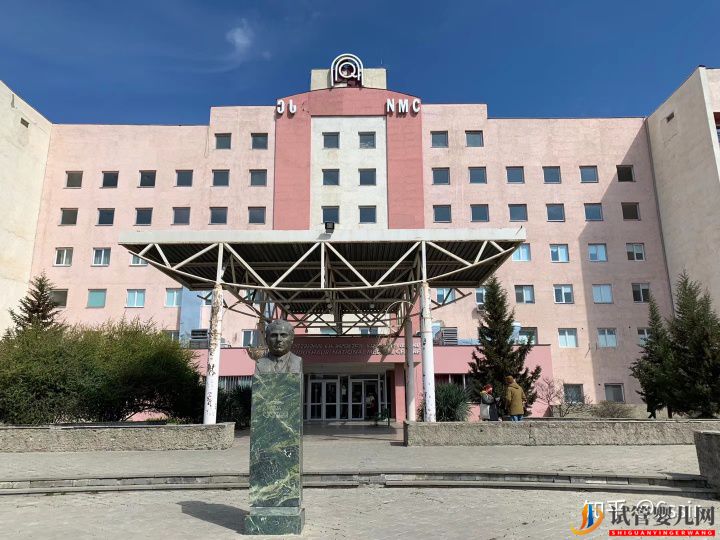 格魯吉亞試管嬰兒經歷3-決定前往(圖3)