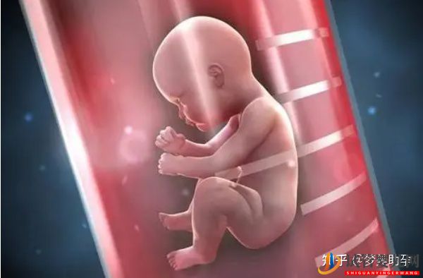 你的心態(tài)決定試管嬰兒的成敗-美國(guó)試管嬰兒專家(圖12)