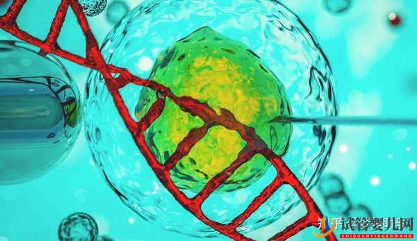 你的心態(tài)決定試管嬰兒的成敗-美國(guó)試管嬰兒專家(圖14)