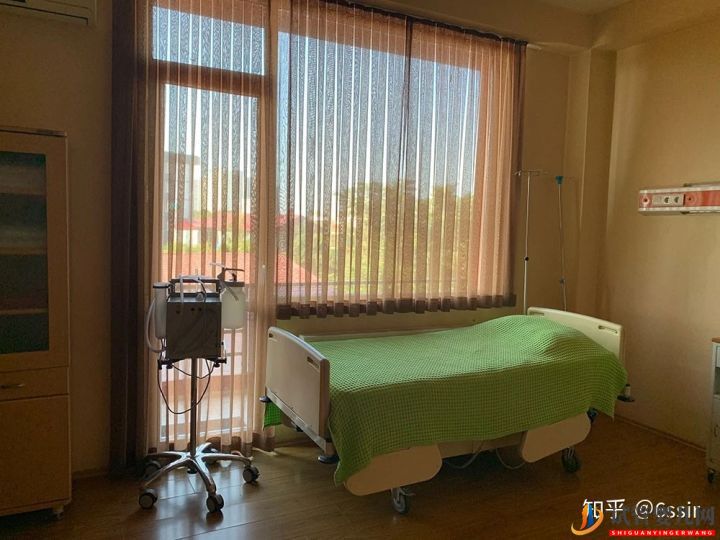 格魯吉亞試管嬰兒經歷4-第比利斯(圖1)