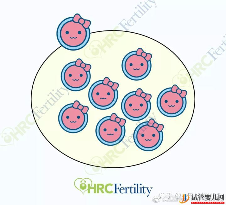 原來美國試管是這樣的美國試管(圖11) 原來美國試管是這樣的美國試管(圖11)