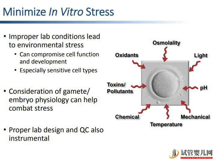 去美國做試管怎么選醫院續篇(圖31)