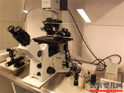 怎么知道美國試管嬰兒是否正規，健康專家教你辨別方法(圖2)