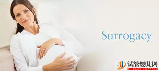 美國合法第三方輔助生殖包含哪些重要步驟(圖2)