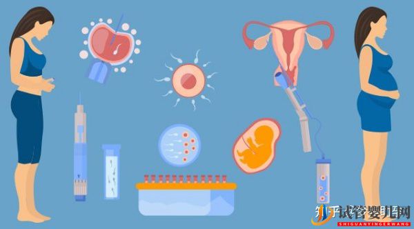 美國試管專家提高試管成功率的有效方案(圖13)