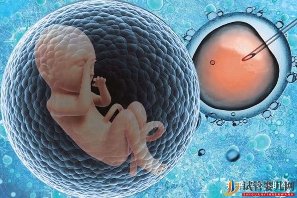 美國試管專家教你自測試管嬰兒成功率的方法(圖12)