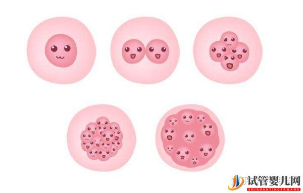 美國試管專家教你自測試管嬰兒成功率的方法(圖15) 美國試管專家教你自測試管嬰兒成功率的方法(圖15)