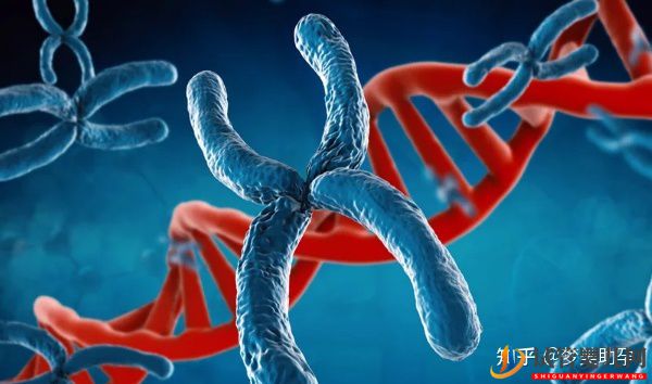 美國試管專家講解_人工授精和試管嬰兒的區(qū)別(圖23) 美國試管專家講解人工授精和試管嬰兒的區(qū)別(圖12)