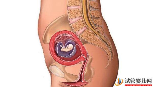 美國試管專家講解_人工授精和試管嬰兒的區(qū)別(圖7) 美國試管專家講解人工授精和試管嬰兒的區(qū)別(圖4)