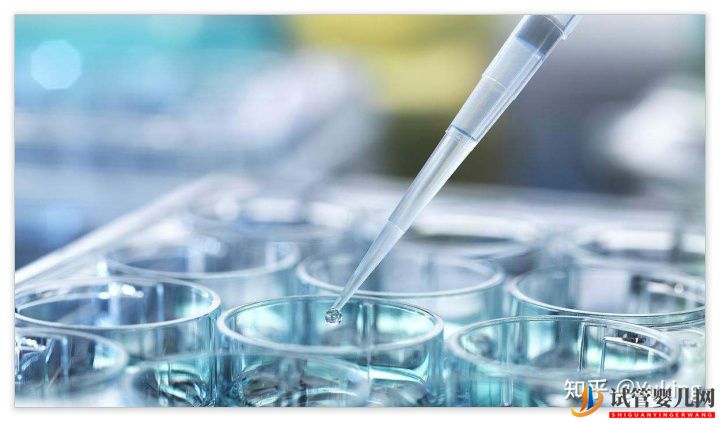 試管嬰兒科普系列四_中美試管大比拼(圖5) 試管嬰兒科普系列四_中美試管大比拼(圖5)