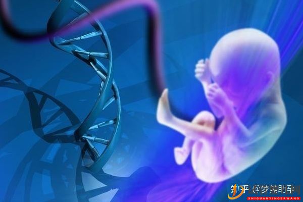 詳解美國第三代試管嬰兒流程(圖7)