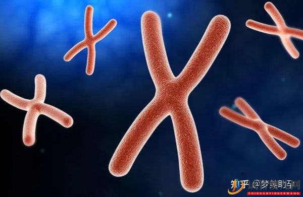 赴美試管嬰兒多少錢,性價比如何(圖5)