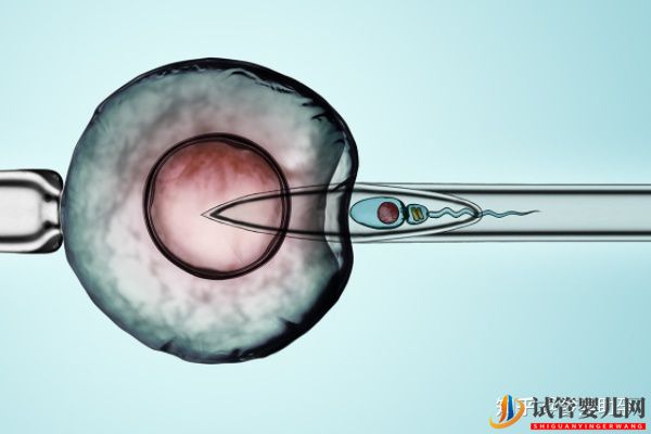 赴美試管嬰兒多少錢,性價比如何(圖3)