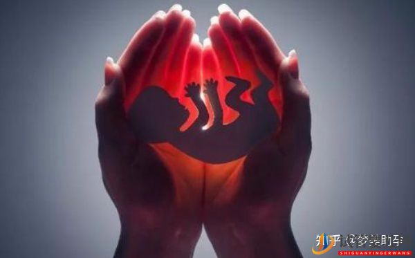 赴美試管嬰兒多少錢,性價比如何(圖6)