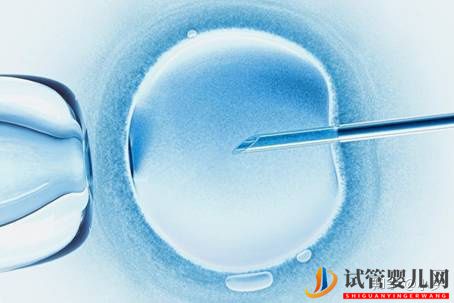 親身經歷告訴你泰國試管大約多少錢(圖1)