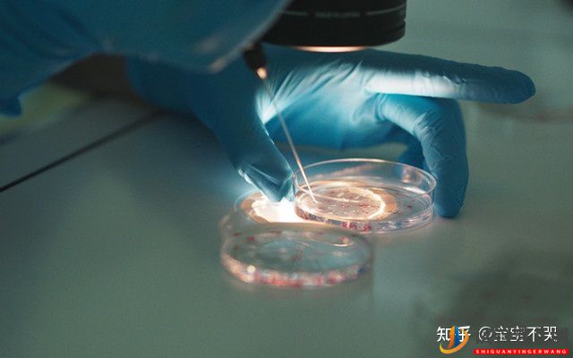 泰國試管包成功的費用是騙局嗎_到底可信嗎(圖4) 泰國試管包成功的費用是騙局嗎_到底可信嗎(圖2)