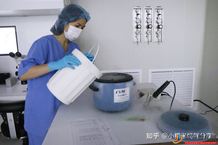 泰國試管嬰兒的總費用曝光了嗎_是多少(圖1)