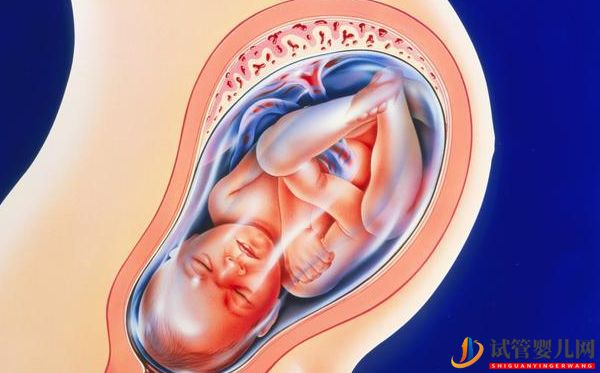 美國試管嬰兒知識問答_取卵半年后再移植,如何保障(圖7) 美國試管嬰兒知識問答_取卵半年后再移植,如何保障(圖7)