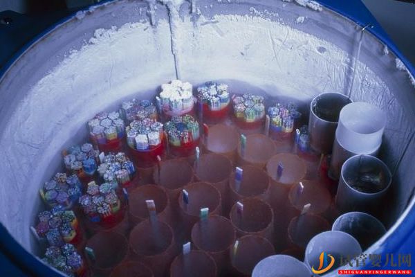 美國試管嬰兒知識問答_取卵半年后再移植,如何保障(圖5) 美國試管嬰兒知識問答_取卵半年后再移植,如何保障(圖5)