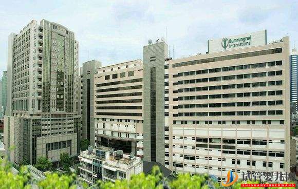 回想起第一次去泰國(guó)做試管的經(jīng)歷(圖4)