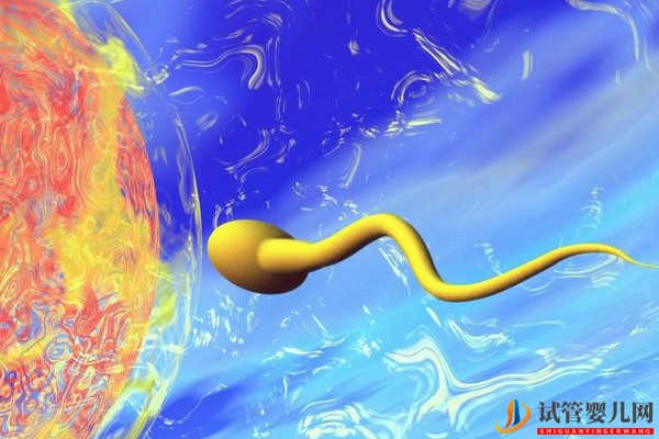 美國試管嬰兒旨在提高卵子利用率(圖2) 美國試管嬰兒旨在提高卵子利用率(圖1)