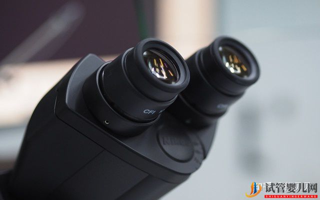 泰國十大生殖醫(yī)院有哪些優(yōu)勢(圖2) 泰國十大生殖醫(yī)院有哪些優(yōu)勢(圖1)