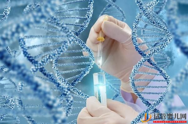 美國試管嬰兒備孕指南-三方面提升孕力(圖3)