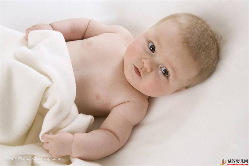 泰國(guó)試管嬰兒取卵質(zhì)量和數(shù)量的決定性因素(圖1) 泰國(guó)試管嬰兒取卵質(zhì)量和數(shù)量的決定性因素(圖1)