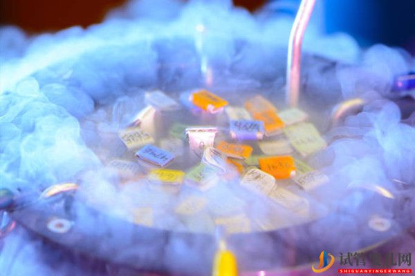 美國試管嬰兒為什么要冷凍囊胚？(圖1)