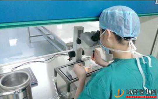 美國試管嬰兒的注意事項(xiàng),費(fèi)用和優(yōu)勢(圖5) 美國試管嬰兒的注意事項(xiàng),費(fèi)用和優(yōu)勢(圖3)