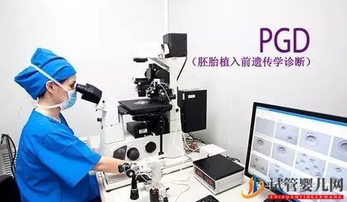 第三代泰國試管嬰兒的技術與優(yōu)勢!(圖5) 第三代泰國試管嬰兒的技術與優(yōu)勢!(圖3)