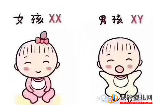 為什么選擇到泰國試管(圖7)