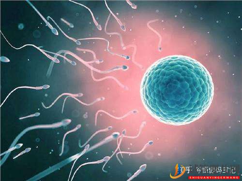 第三代試管嬰兒費用是多少,大致的流程有哪些(圖6) 銅仁第三代試管嬰兒費用是多少,大致的流程有哪些(圖3)