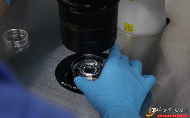 杭州第三代試管嬰兒醫院費用多少錢(圖2)