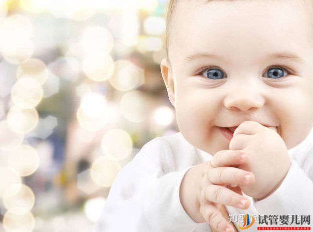 試管嬰兒網(wǎng):不孕夫婦獨家大揭秘第三代試管嬰兒多少錢(圖1) 不孕夫婦獨家大揭秘第三代試管嬰兒多少錢(圖1)