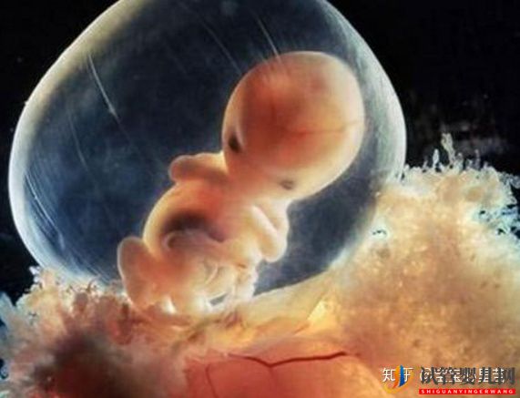 試管嬰兒網(wǎng):不孕夫婦獨家大揭秘第三代試管嬰兒多少錢(圖3) 不孕夫婦獨家大揭秘第三代試管嬰兒多少錢(圖2)