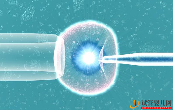 美國試管嬰兒的7大適用人群(圖2)